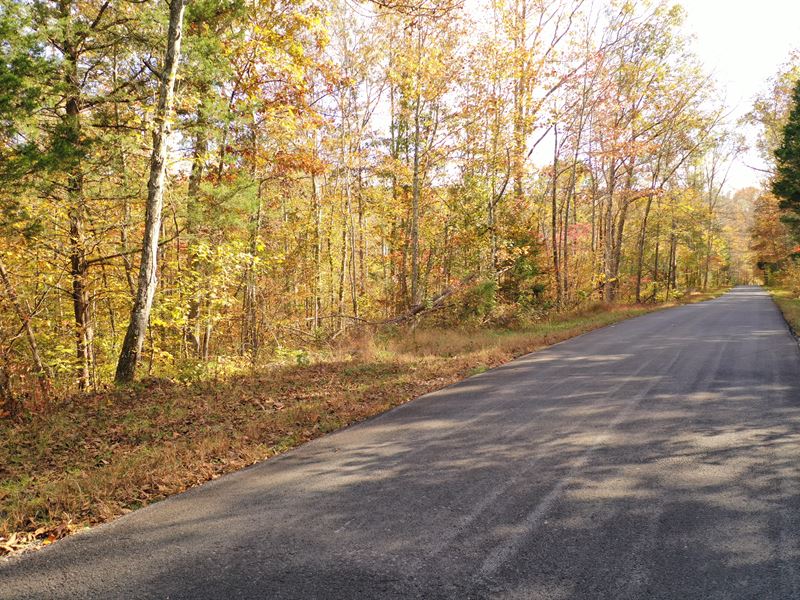 Owner Financing : Elk Horn : Taylor County : Kentucky