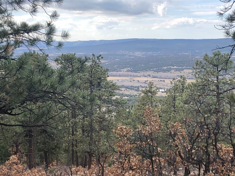Mountain Property Spectacular Views : Chama : Rio Arriba County : New Mexico