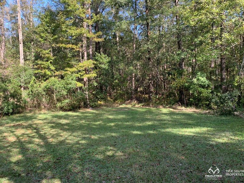 Hampton County SC Lowcountry Home Land for Sale in Hampton, Hampton