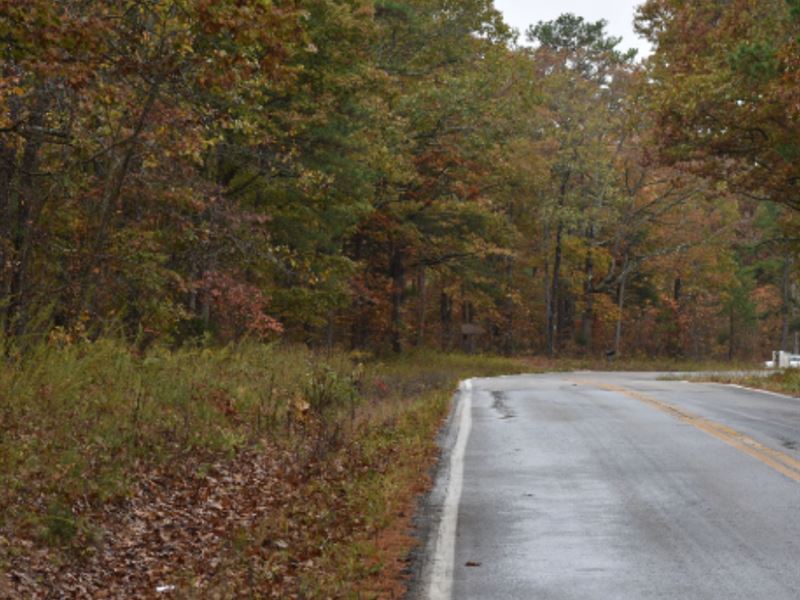 Build Your Cabin in The Woods Here : Chadwick : Christian County : Missouri