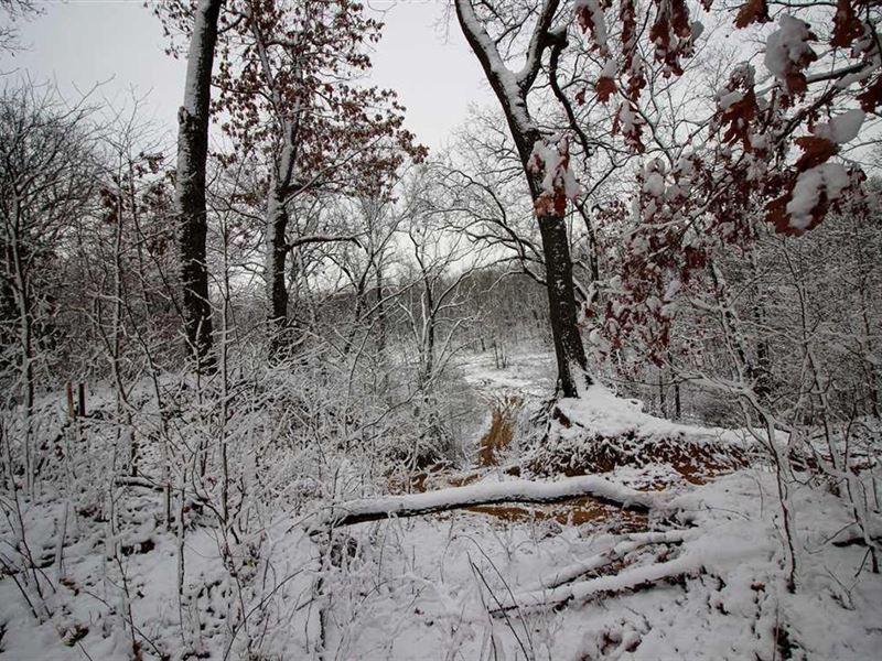 Land for Sale, 36 Acre Woods Along : Monterey : Pulaski County : Indiana