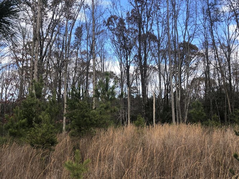 Price House Residential Lot 1 : Woodruff : Spartanburg County : South Carolina