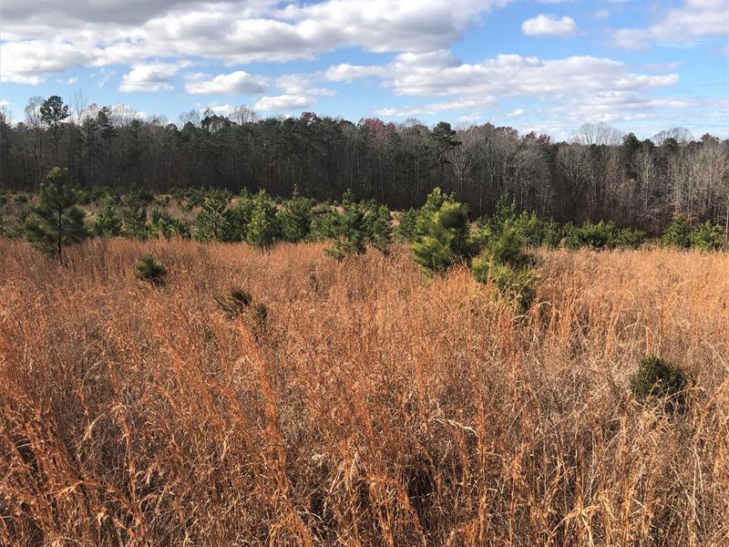 Price House Residential Lot 2 : Woodruff : Spartanburg County : South Carolina
