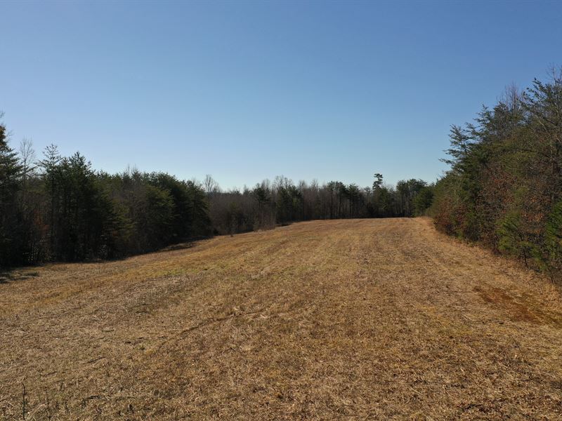 Percent Owner Financing : Williamsburg : Whitley County : Kentucky