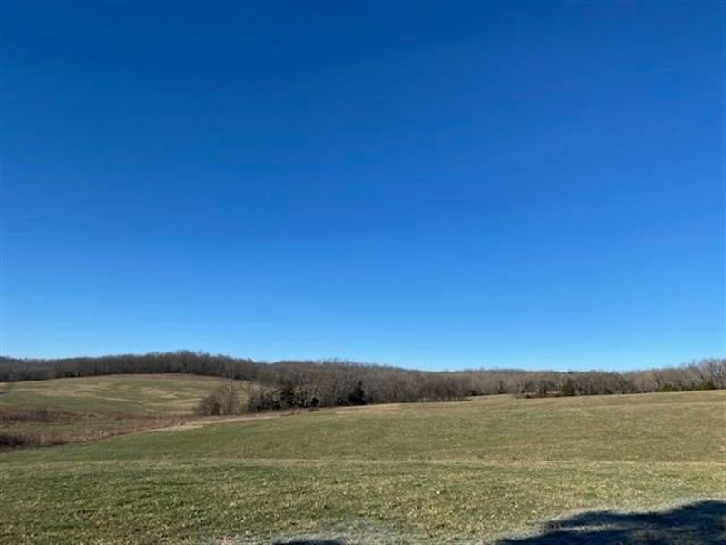 Land In The Heart Of The Ozarks : Mountain Grove : Douglas County : Missouri