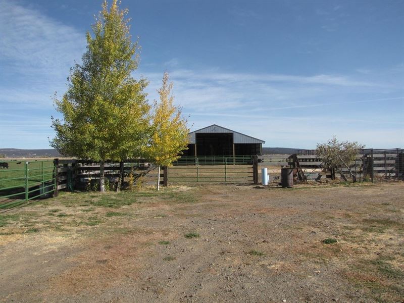 Oregon Summer Pasture Ranch : Bonanza : Klamath County : Oregon