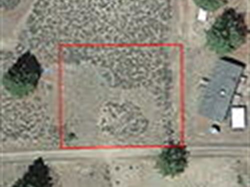 .27 Acres in Lassen, CA : Susanville : Lassen County : California