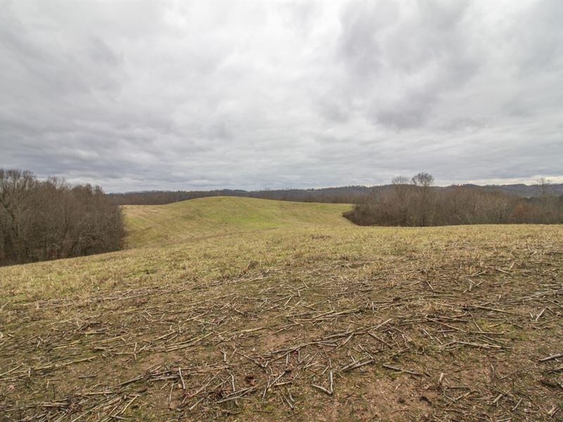 SR 60, 93 Acres, Washington Count : Lowell : Washington County : Ohio