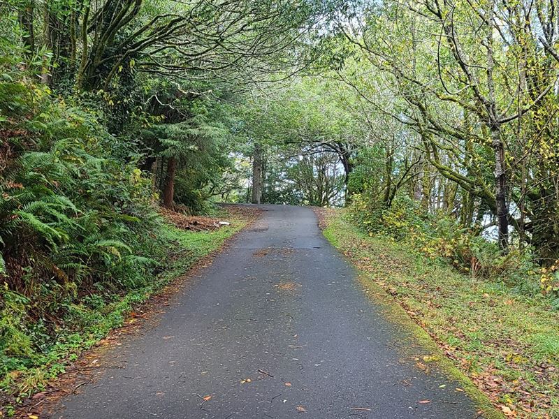 1.5 Acres Private Setting Quiet : Gold Beach : Curry County : Oregon