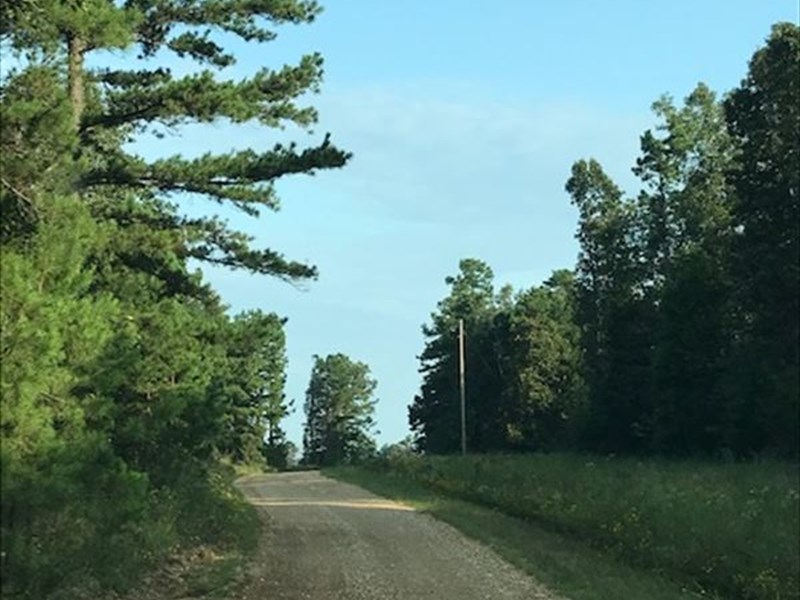 Signal Hill 160 Acres Recreational : Mountain View : Stone County : Arkansas