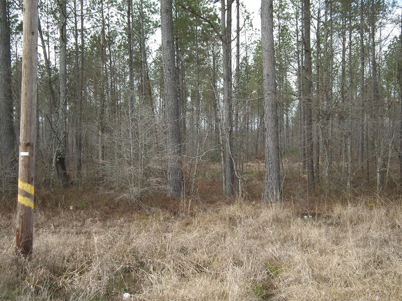 Mud Creek East : Vardaman : Chickasaw County : Mississippi