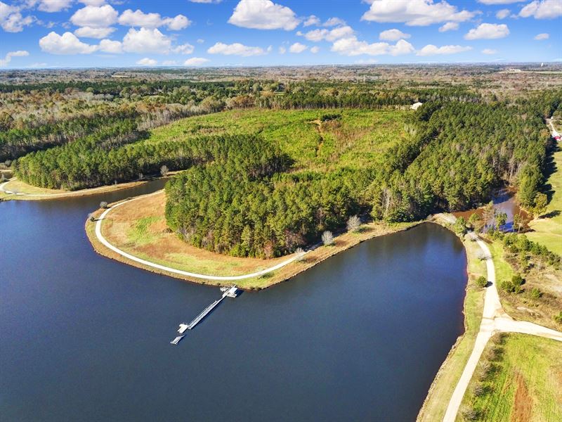 297 Acres in York County : York : York County : South Carolina