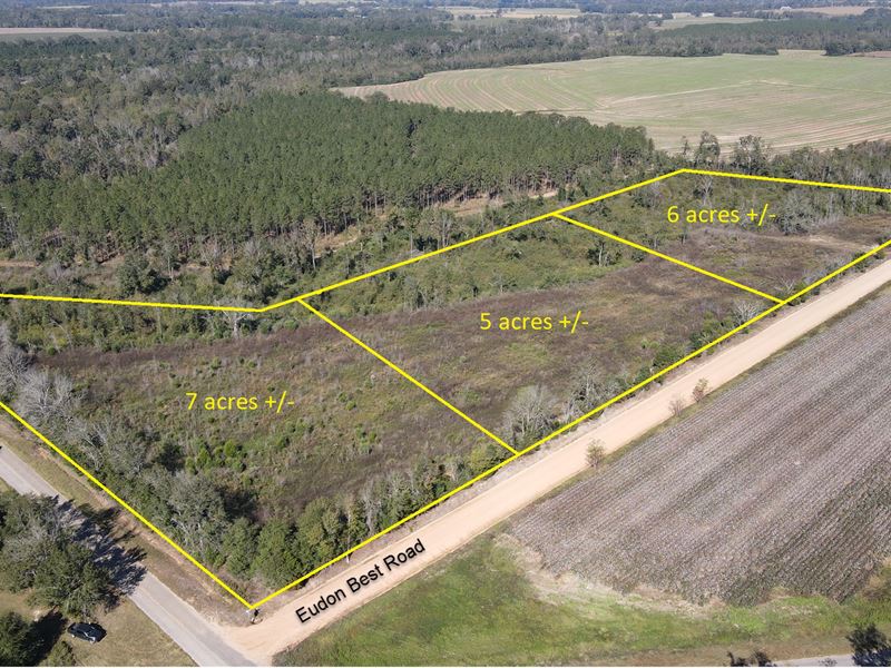 Meadows Creek Parcel B : Ashford : Houston County : Alabama