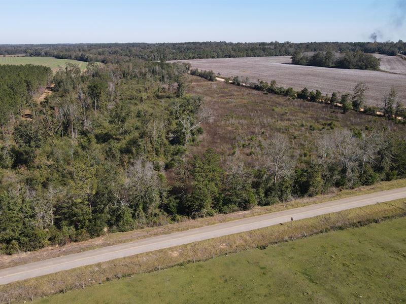 Meadows Creek, Parcel C : Ashford : Houston County : Alabama