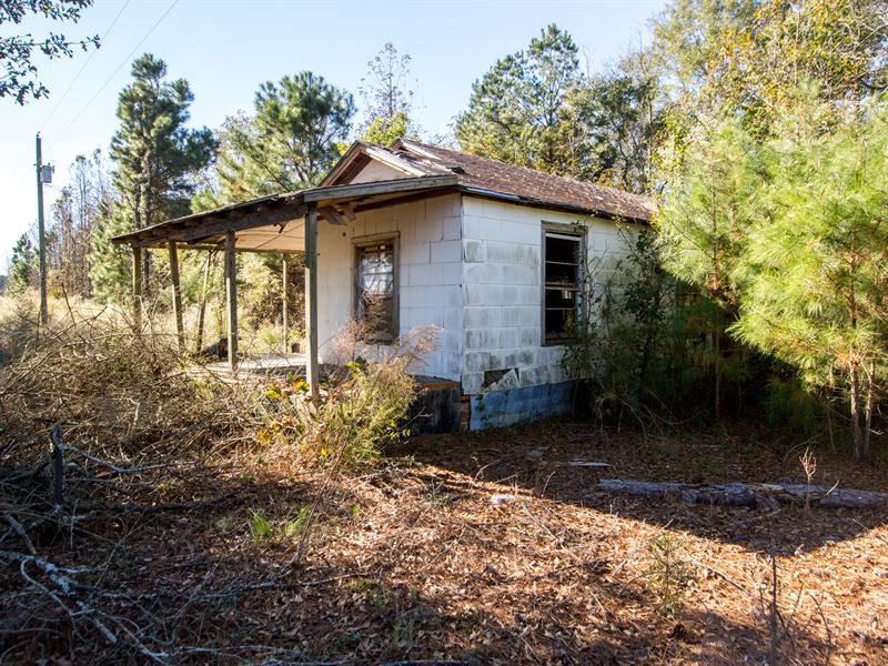 3 Acres with Old Country Home : Rose Hill : Duplin County : North Carolina