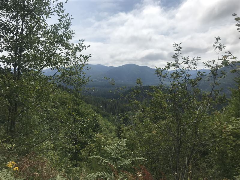 Snider Peak : Port Angeles : Clallam County : Washington