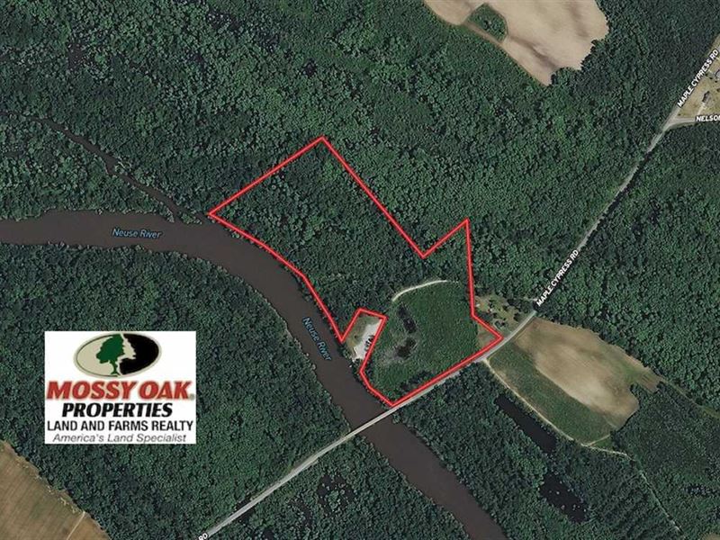36.4 Acres of Riv : Dover : Craven County : North Carolina