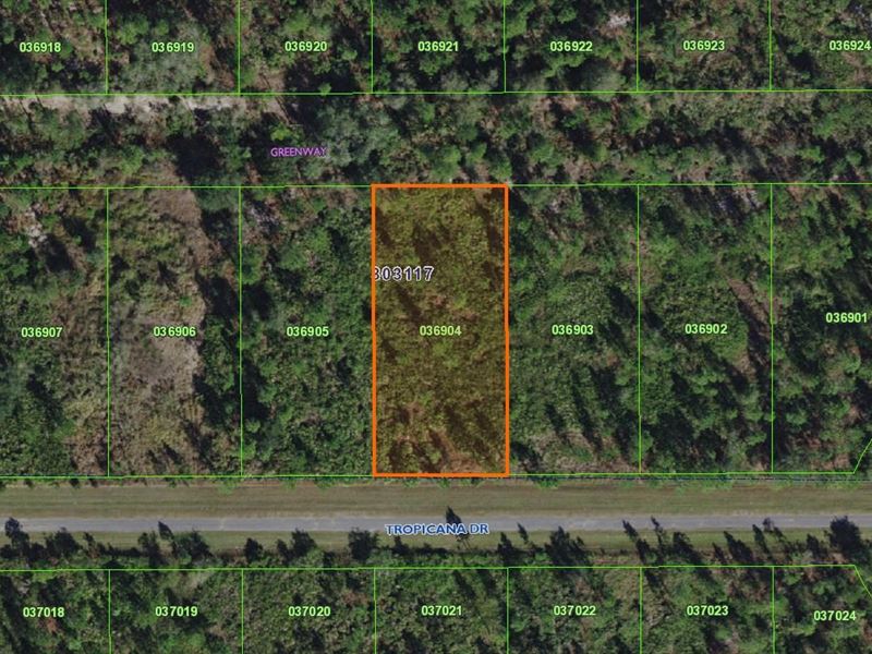 .50 Acre Lot, Vacant Land, Central : Indian Lake Estates : Polk County : Florida
