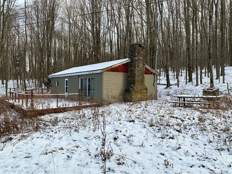 Hunting Property, Land for Sale in Pennsylvania, 262470 LANDFLIP