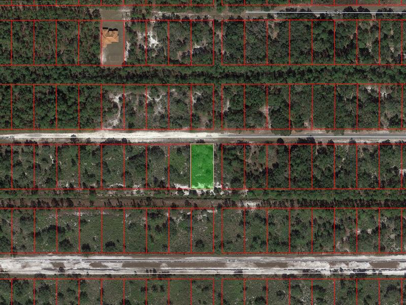 1/2 Acre for Less Than a Golf Cart : Indian Lake Estates : Polk County : Florida