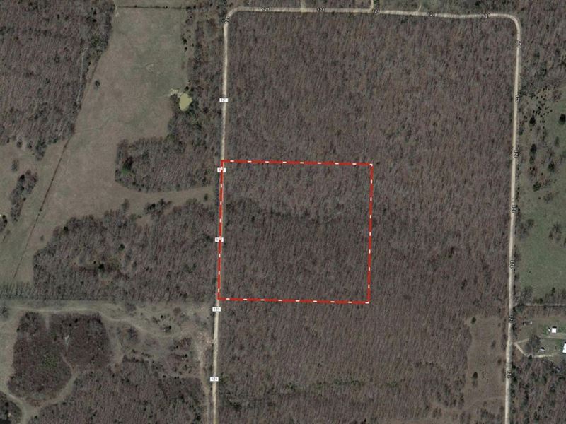 Land for Sale in Missouri : Alton : Oregon County : Missouri