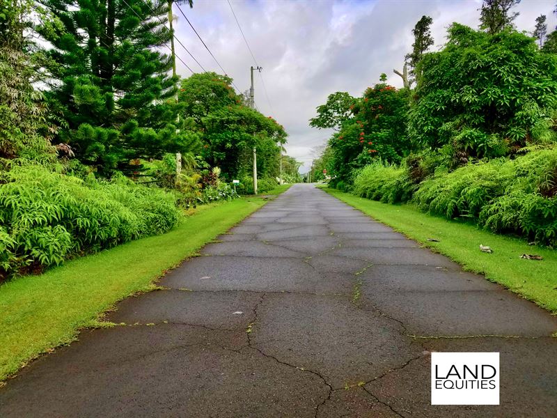 Gorgeous Lush Lot in Paradise : Pahoa : Hawaii County : Hawaii