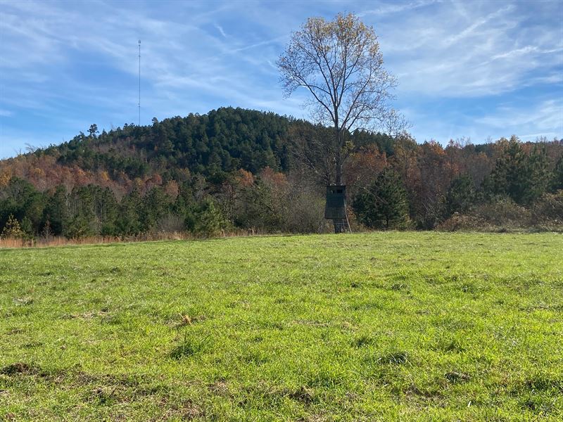 200+/- Ac, Calhoun County : Piedmont : Calhoun County : Alabama