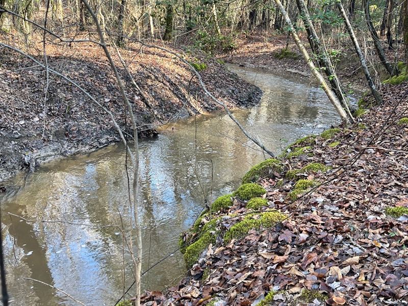 Hunting Property Grant County Close : Sheridan : Grant County : Arkansas