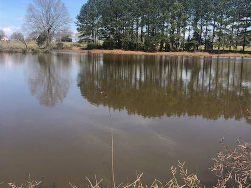 28.08 Acres in Morgan County, Georg : Bishop : Morgan County : Georgia