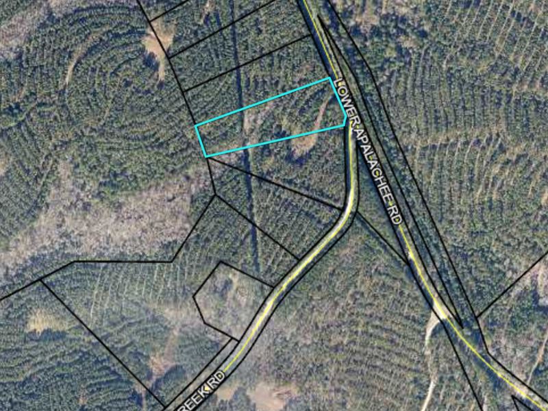5 Acres Lower Apalachee Road, Morga : Madison : Morgan County : Georgia
