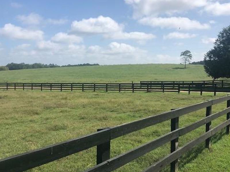 280 Acre Cattle/Horse Farm : Woodbury : Meriwether County : Georgia
