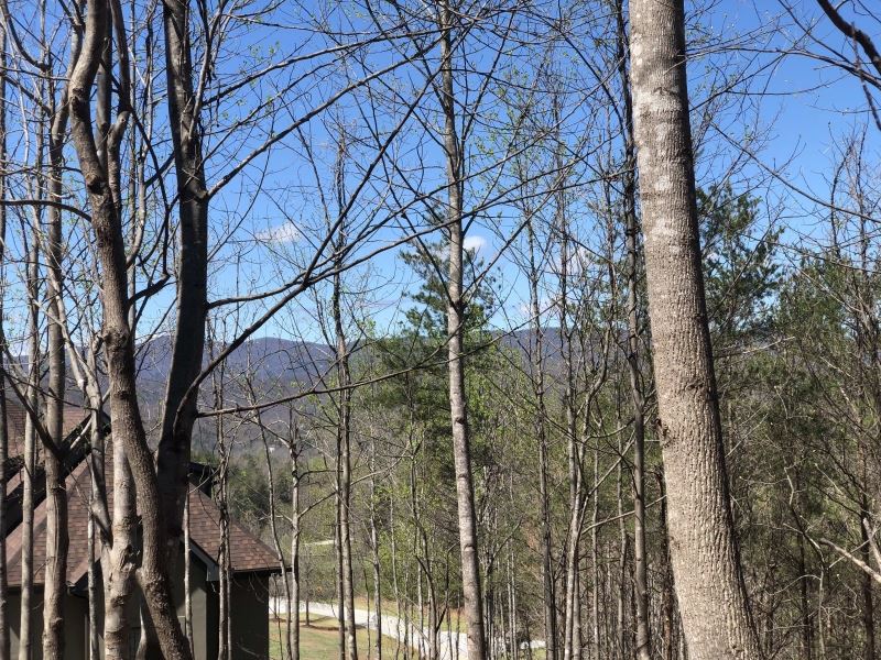 Travelers Rest, 15 Clermont Court : Travelers Rest : Greenville County : South Carolina