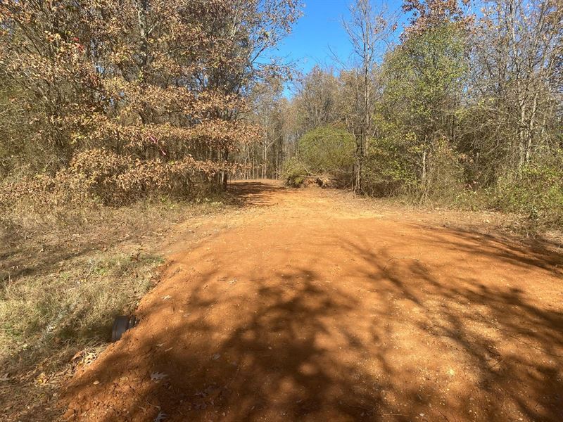Northeast Texas Bowie County : De Kalb : Bowie County : Texas