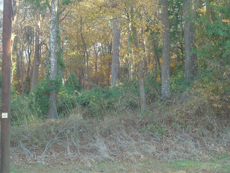 Residential Lot Rusk, Tx, Cherokee : Rusk : Cherokee County : Texas