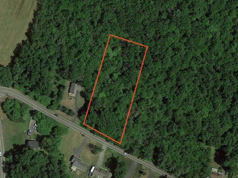 Lightly Wooded Home Site : Bethlehem : Albany County : New York