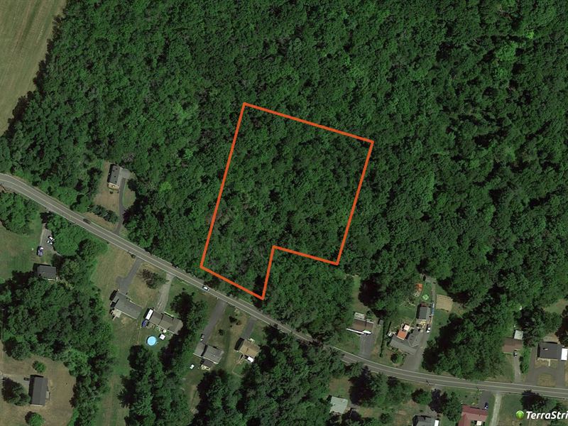 Home Site with Light Woods : Bethlehem : Albany County : New York