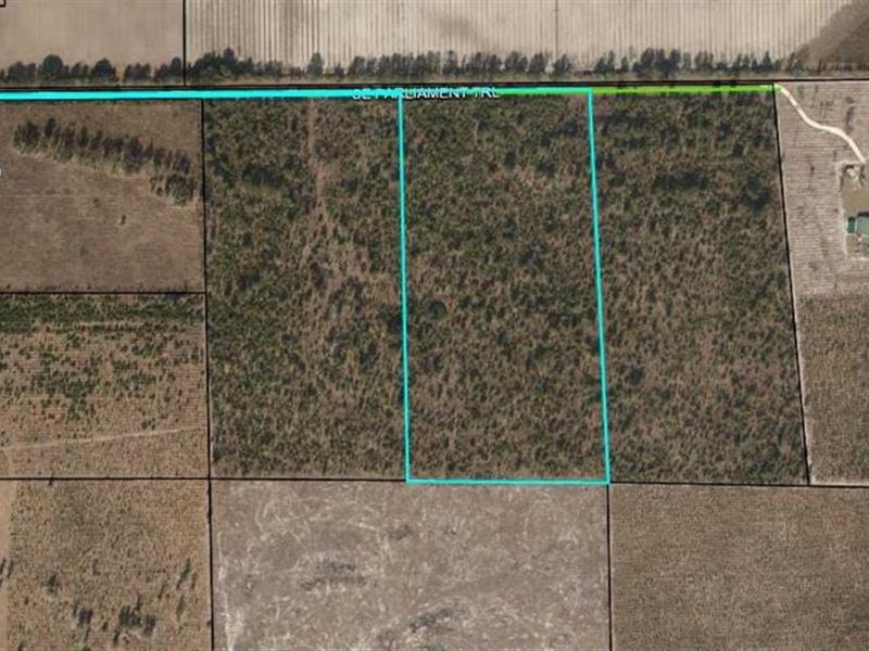 High and Dry 20.78 Acres in SE Madi : Lee : Madison County : Florida