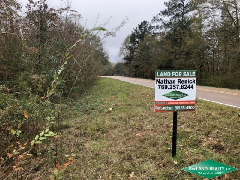 70 Ac, Cutover Timberland for Home : Terry : Hinds County : Mississippi
