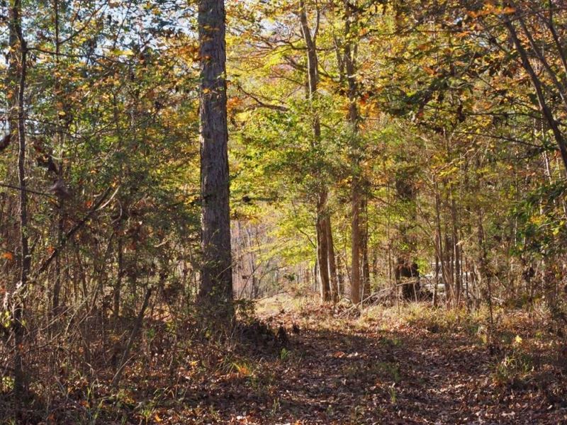 40 Acres Land For Sale Franklin Cou Land for Sale in Smithdale