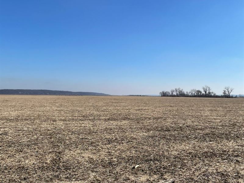 High Quality Missouri River Bottom Land for Sale in Forest City, Holt