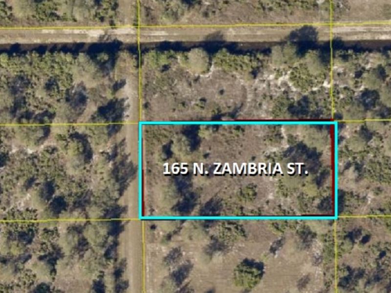Montura Ranches Priced to Moooove Land for Sale by Owner in Clewiston
