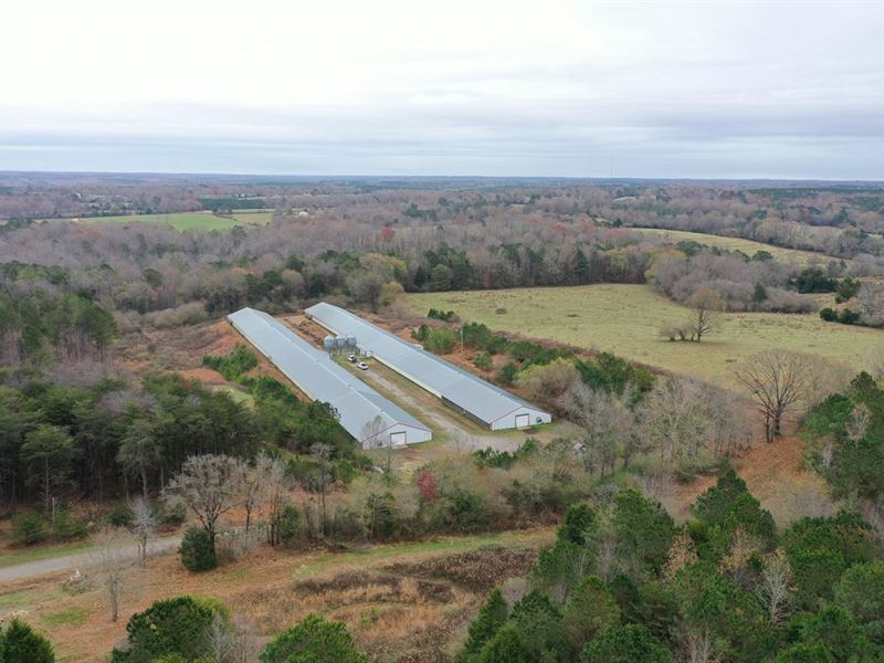 Two Mega House Poultry Farm : Hodges : Franklin County : Alabama
