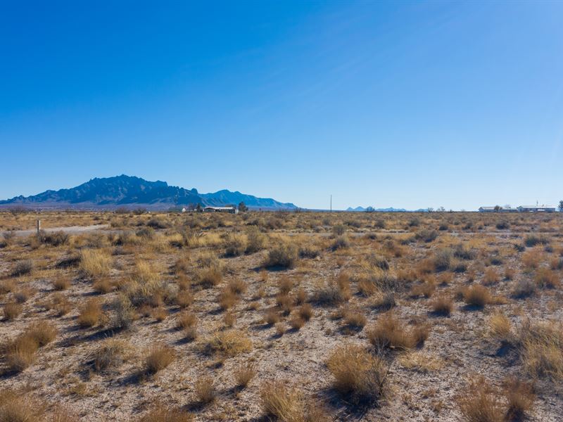 Three Half Acre Lots, Deming NM Land for Sale by Owner in Deming