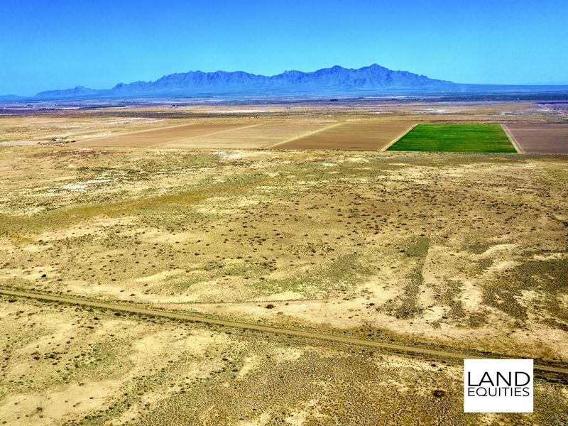 Bargain Priced 80 Acre Ranch : Deming : Luna County : New Mexico