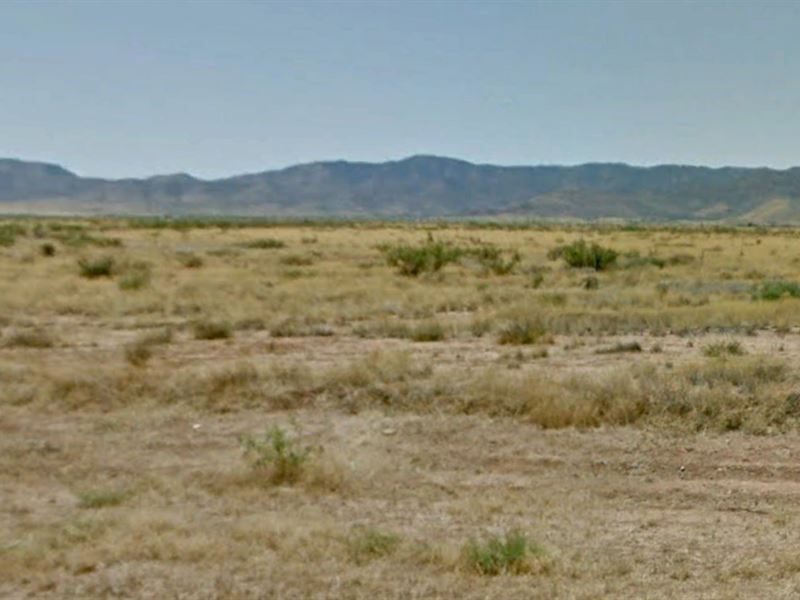 Start Investing Right : Sun Sites : Cochise County : Arizona