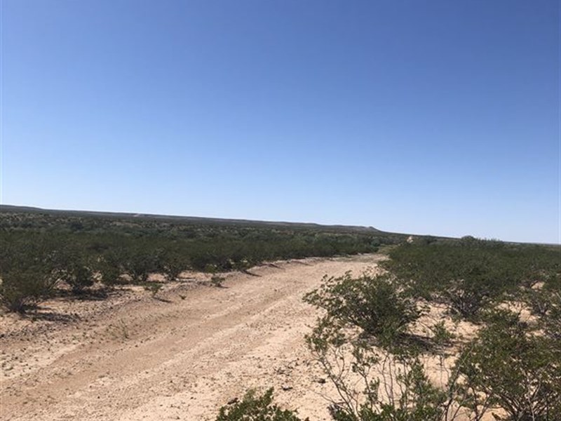 20 Acres, Liquidation Sale, $300 : Cornudas : Hudspeth County : Texas