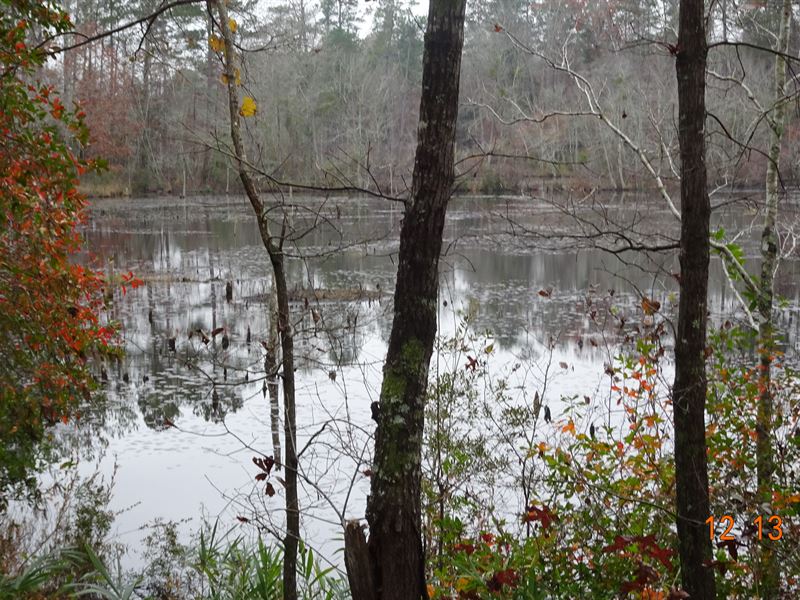 Great Recretional & Timber Tract : Lizella : Crawford County : Georgia