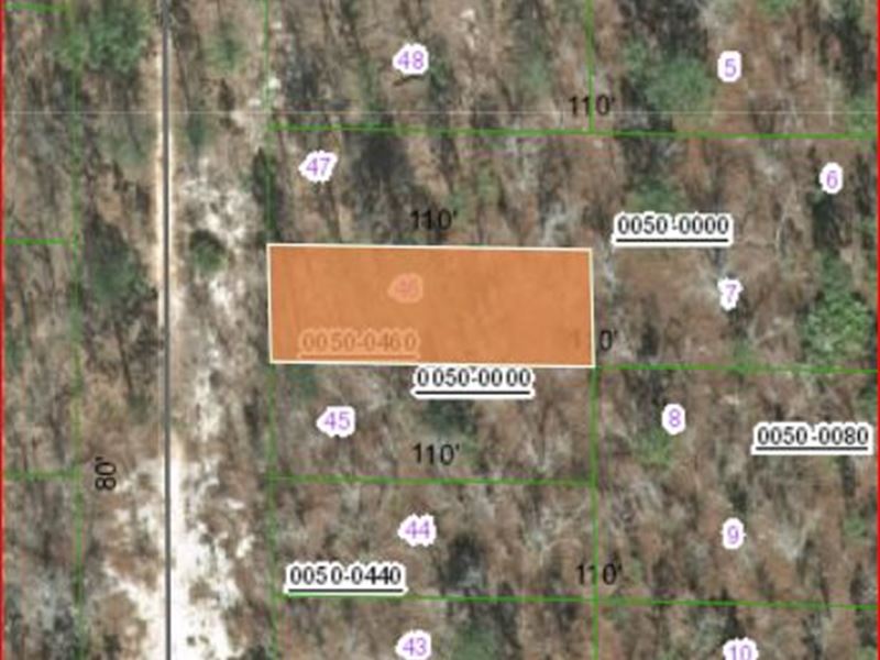 .2 Acre in Putnam County FL Land for Sale by Owner in Hawthorne