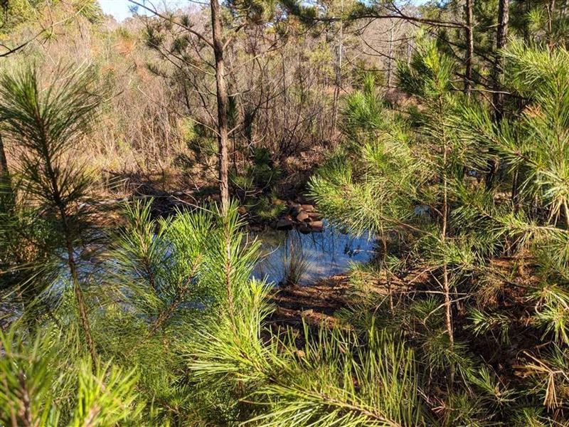 Homesite with Mountain Views in Kia : Moyers : Pushmataha County : Oklahoma