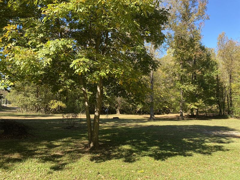 River View Land TN Septic, Water : Morris Chapel : Hardin County : Tennessee